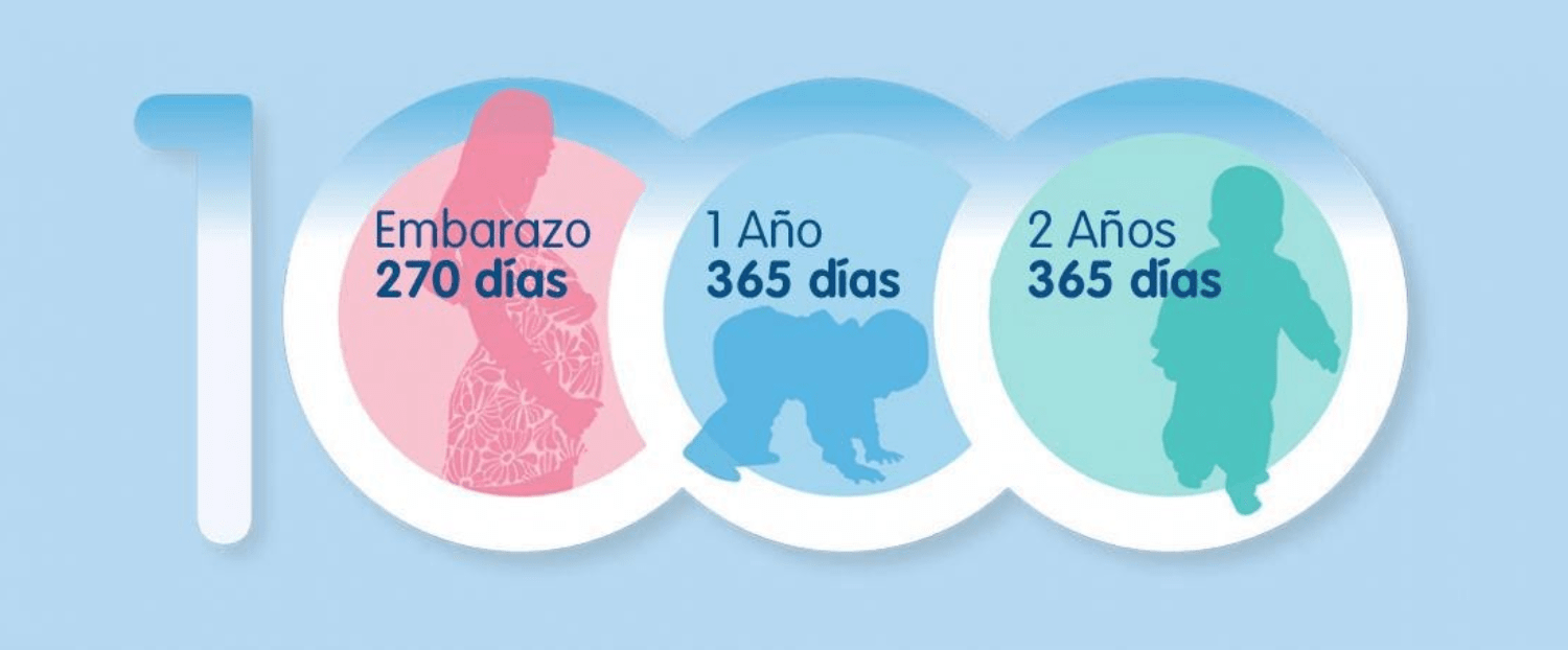 1000-dias