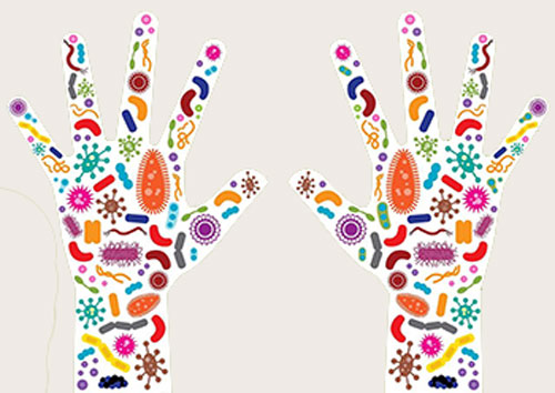 microbiota-2